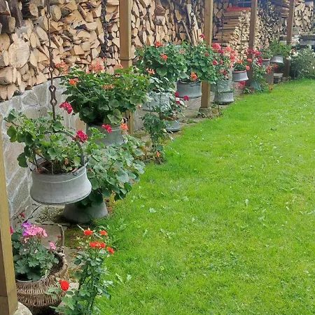 Rai Hotel