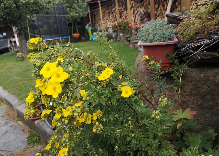 Otel Rai Koprivştitsa