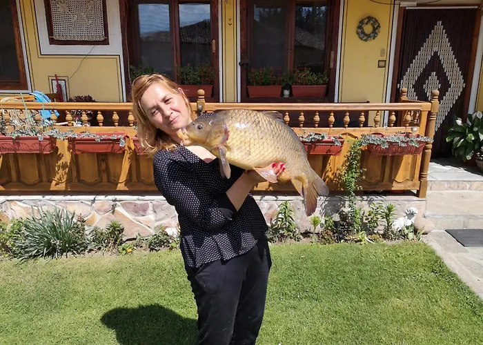 Rai Otel Koprivştitsa